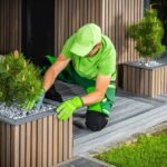 building-modern-elegant-backyard-garden-decorated-with-pine-trees-1-1024x671-1